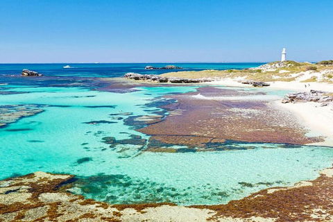 Rottnest Island Bayseeker Day Trip From Perth - Pubs Adelaide 4