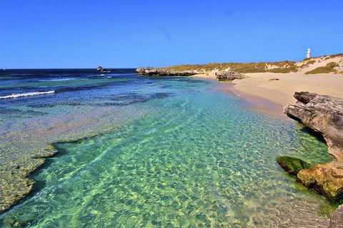 Rottnest Island Bayseeker Day Trip From Perth - Pubs Adelaide 5