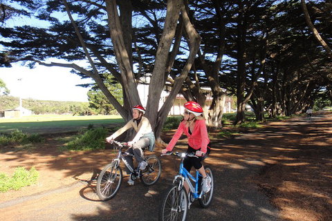 Self-Guided Point Nepean National Park Bike Hire - Pubs Adelaide 2