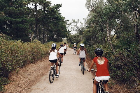 Self-Guided Point Nepean National Park Bike Hire - Pubs Adelaide 3