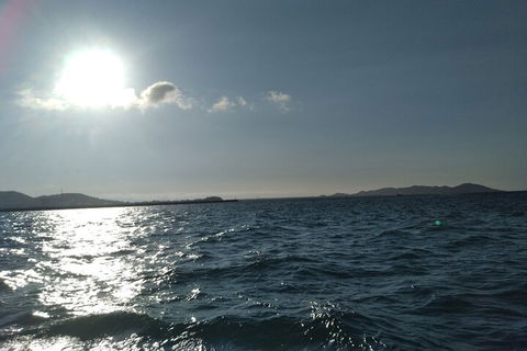 Townsville Small Group Early Morning Sailing Cruise Boat Tour Charter Hire - Pubs Adelaide 4