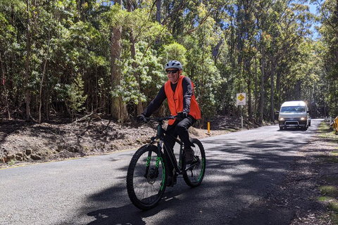 Mount Wellington Descent Cycling Tour Departs Hobart - Pubs Adelaide 3