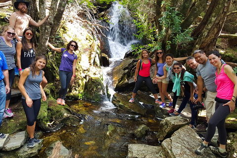 7-Day Super Value Tour Of Tasmania: Explore Tasmania's West And East Coasts - Pubs Adelaide 2