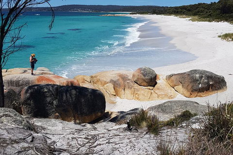 2-Day Tas East Coast Escape Tour Including Bay Of Fires, Wineglass Bay & Devils - Pubs Adelaide 4
