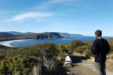 4-Day Fabulous Tasmania Tour: Wineglass Bay, Port Arthur, Devils & Bruny Island - Pubs Adelaide 0