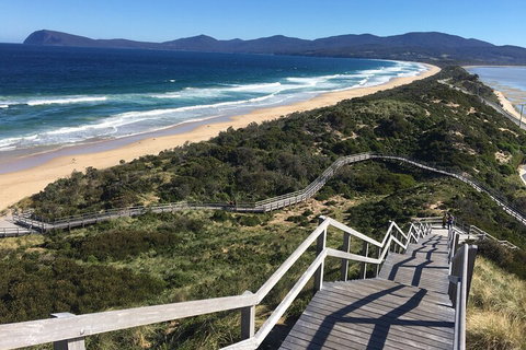 4-Day Fabulous Tasmania Tour: Wineglass Bay, Port Arthur, Devils & Bruny Island - Pubs Adelaide 5
