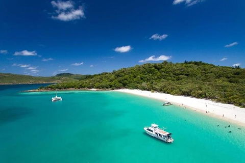 Whitehaven Beach And Hill Inlet | Awesome Beach BBQ | Family Friendly - Pubs Adelaide 3
