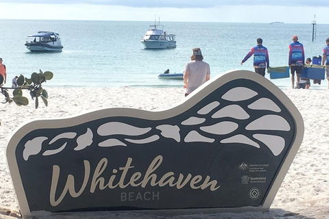 Whitehaven Beach And Hill Inlet | Awesome Beach BBQ | Family Friendly - Pubs Adelaide 5