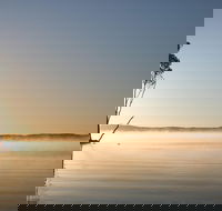 Serenity Cruise to Australia's Everglades - Pubs Adelaide