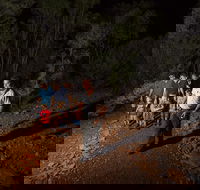 Alice Springs Desert Park Nocturnal Tour - Pubs Adelaide