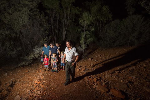 Alice Springs Desert Park Nocturnal Tour - Pubs Adelaide 0