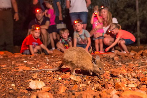 Alice Springs Desert Park Nocturnal Tour - Pubs Adelaide 1