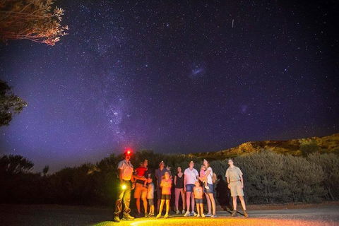 Alice Springs Desert Park Nocturnal Tour - Pubs Adelaide 2