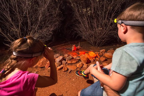 Alice Springs Desert Park Nocturnal Tour - Pubs Adelaide 4