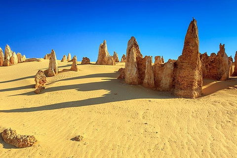 Full-Day Pinnacles Desert And Yanchep National Park Tour From Perth - Pubs Adelaide 2