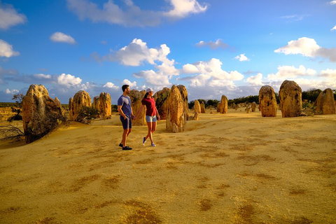 Full-Day Pinnacles Desert And Yanchep National Park Tour From Perth - Pubs Adelaide 4