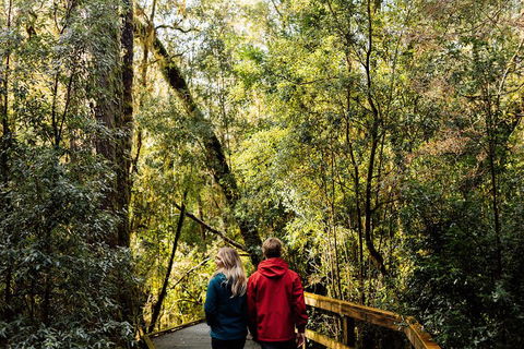 Gordon River Cruise Departing From Strahan - Pubs Adelaide 2