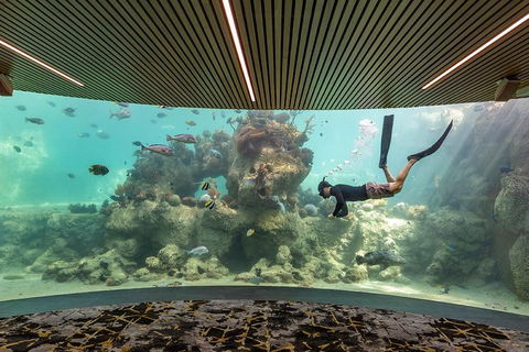 Whitehaven Beach And Daydream Island Cruise - Pubs Adelaide 4