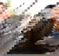 Bonorong Wildlife Park and Richmond Afternoon Tour from Hobart - Pubs Adelaide