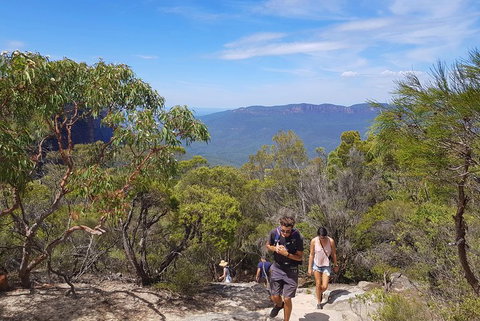 Blue Mountains Unique Small-Group Day Adventure With BBQ Lunch - Pubs Adelaide 3