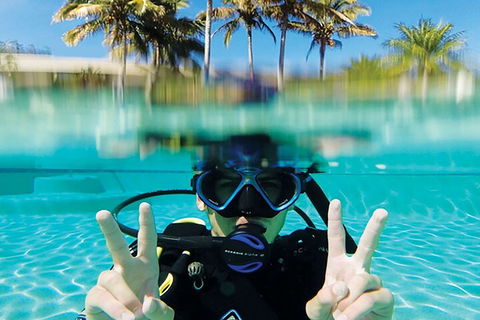 Adventure Moreton Island Scuba Dive Tour - Pubs Adelaide 2