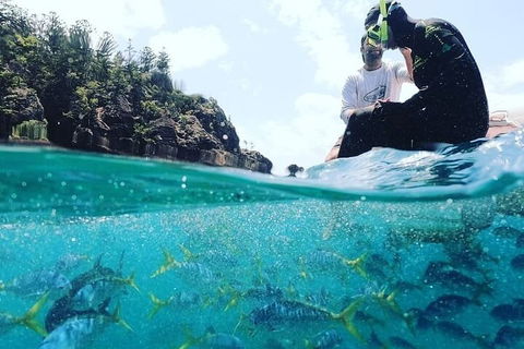 2 Night Small Group Whitsundays Sailing Adventure Aboard Mandrake - Pubs Adelaide 5