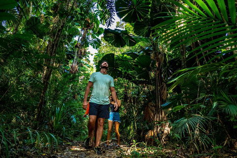 Full Day Daintree Rainforest And Mossman Gorge Tour - Pubs Adelaide 0