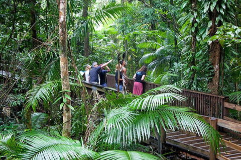 Full Day Daintree Rainforest And Mossman Gorge Tour - Pubs Adelaide 1