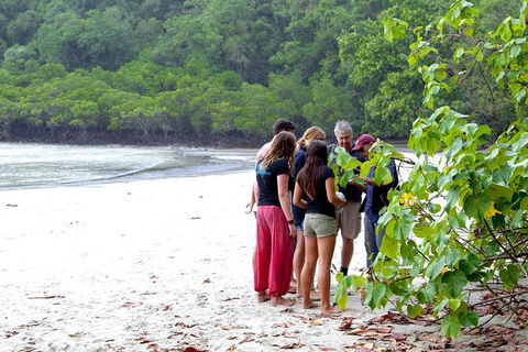 Full Day Daintree Rainforest And Mossman Gorge Tour - Pubs Adelaide 2