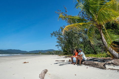 Full Day Daintree Rainforest And Mossman Gorge Tour - Pubs Adelaide 4
