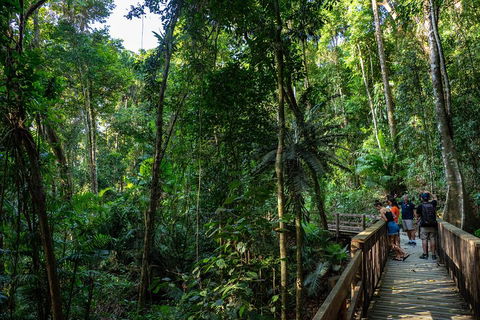 Full Day Daintree Rainforest And Mossman Gorge Tour - Pubs Adelaide 5