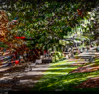Fully Inclusive Blue Mountains Private Tour inc Scenic World  Featherdale entry - Pubs Adelaide