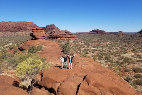 Palm Valley And Hermannsburg 1 Day 4WD Tour - Pubs Adelaide 3