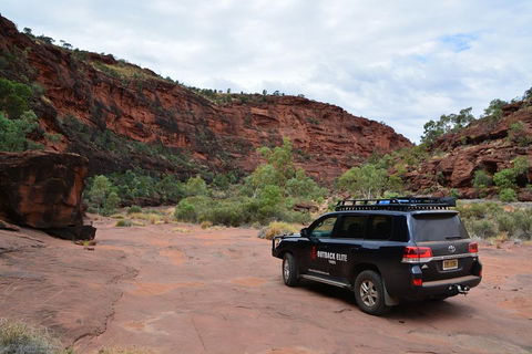 Palm Valley And Hermannsburg 1 Day 4WD Tour - Pubs Adelaide 5