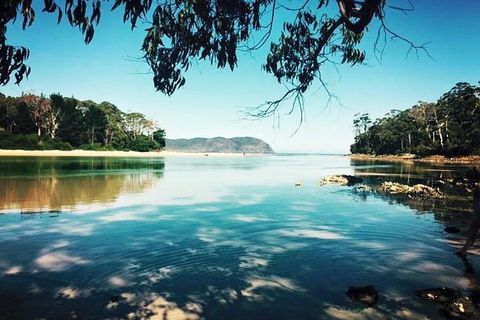 Full-Day Guided Bruny Island Tour From Hobart - Pubs Adelaide 1