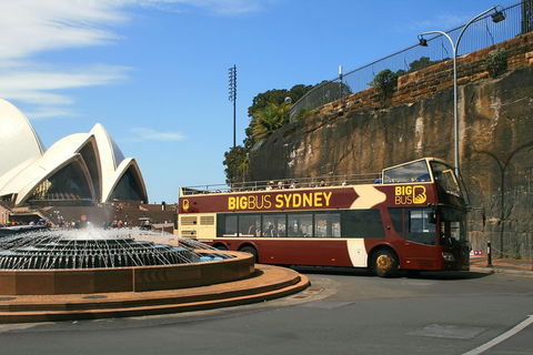 Big Bus Sydney And Bondi Hop-on Hop-off Tour - Pubs Adelaide 3