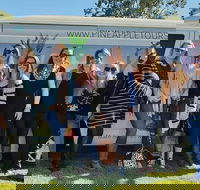 Full Day Mount Tamborine Winery Tour from Gold Coast - Pubs Adelaide