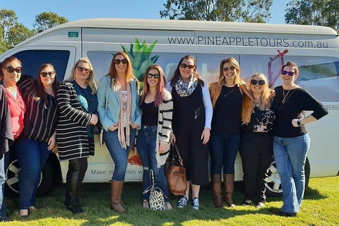 Full Day Mount Tamborine Winery Tour From Gold Coast - Pubs Adelaide 0