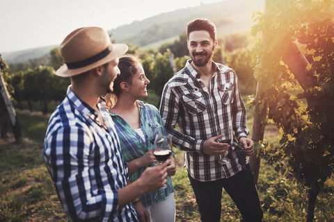 Full Day Mount Tamborine Winery Tour From Gold Coast - Pubs Adelaide 5