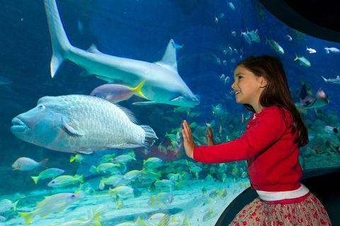 SEA LIFE Melbourne Aquarium Admission Ticket - Pubs Adelaide 1