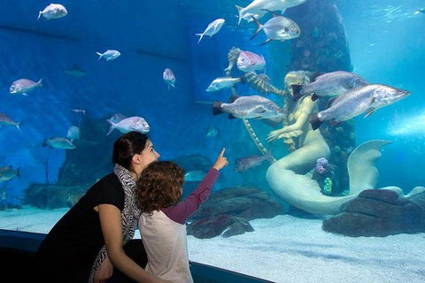 SEA LIFE Melbourne Aquarium Admission Ticket - Pubs Adelaide 4