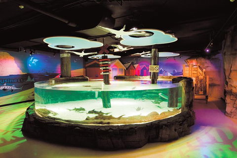 SEA LIFE Melbourne Aquarium Admission Ticket - Pubs Adelaide 5