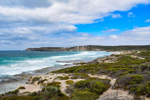 Kangaroo Island Luxury Small Group 'East End Explorer' Full Day Tour - Pubs Adelaide 0