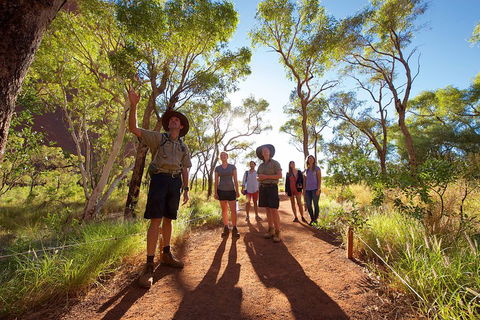 Uluru Small Group Tour Including Sunset - Pubs Adelaide 0