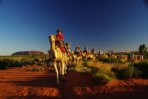 Uluru Small-Group Tour By Camel At Sunrise Or Sunset - Pubs Adelaide 1