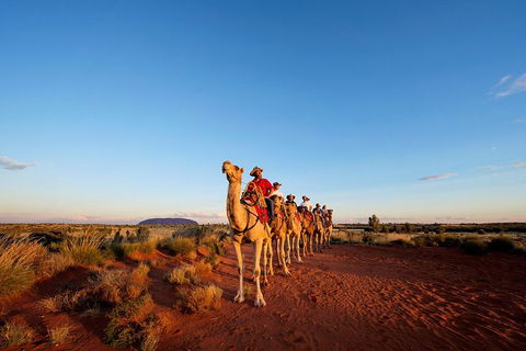Uluru Small-Group Tour By Camel At Sunrise Or Sunset - Pubs Adelaide 3
