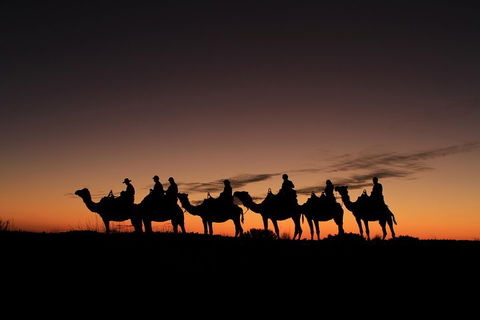 Uluru Small-Group Tour By Camel At Sunrise Or Sunset - Pubs Adelaide 4