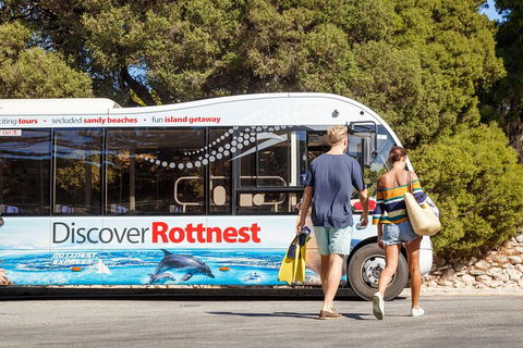 Discover Rottnest With Ferry & Bus Tour From Perth Or Fremantle - Pubs Adelaide 1