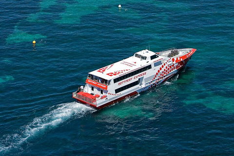Discover Rottnest With Ferry & Bus Tour From Perth Or Fremantle - Pubs Adelaide 3