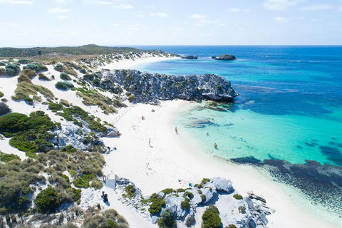 Discover Rottnest With Ferry & Bus Tour From Perth Or Fremantle - Pubs Adelaide 5